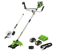 Greenworks Coupe-Bordure & Débroussailleuse 2x24V 38cm, Coupe-Bordure Accessoire avec 2 Batteries 4Ah et Chargeur