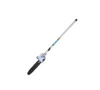 Greenworks Elagueuse sur perche pour trimmer GD24X2TX