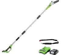 Greenworks G24PS20K2 Élagueuse sur Perche, Longueur Guide-Chaîne 20cm, Vitesse 6,7m/s, 3,2kg, Graisseur Automatique, Réservoir Huile 50ml, Portée 2,6m SANS Batterie 24V 2Ah Chargeur, Garantie 3 Ans