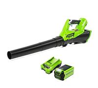 Greenworks G40ABK2 Souffleur à Batterie Axial de Feuilles Mortes Sans Fil, avec Régulateur de Vitesse, 177 km/h, 11,05 m³/min, Batterie 40V 2Ah et Chargeur, Garantie 3 Ans