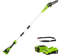 Greenworks Élagueuse sur perche G40PSFK2 - 20 cm, portée 2,58 m, 40V 2Ah, graisseur auto