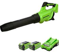 Greenworks GD40ABK2X Souffleur à Batterie Axial de Feuilles Sans Fil avec Régulateur de Vitesse, Moteur Sans Balais, 210km/h, 15,6 m³/min, Fonction Turbo, SANS Batterie Ni Chargeur 40V, Garantie 3 Ans