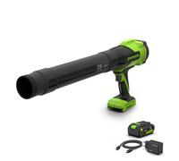 Greenworks POWERALL 24V Souffleur 209 km/h - Batterie 4Ah