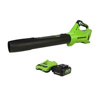 Greenworks POWERALL 24V Souffleur 177 km/h - Batterie 4Ah