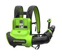 Greenworks Souffleur à Dos 48V (24V x 2), Moteur Brushless, 19,82 m³/Min, 297 km/h, Technologie QUIETFORCE - sans Batterie ni Chargeur BL48020A1