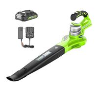 Greenworks Souffleur à Feuilles sans Fil 24 V avec Batterie 2 Ah et Chargeur 140/200 km/h Deux Vitesses