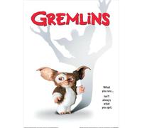 Gremlins - Imprimé WHAT YOU SEE (40 cm x 30 cm) (Blanc/Noir/Rouge)
