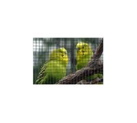 Grillage carré - NATURE - 0,5 x 3 m - Ep. 6,4 mm - Vert