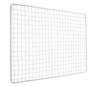 Grille Barbecue Rectangulaire en Acier Inoxydable 30x20cm pour Cuisson | Argenté, Transport Facile, Limite la Déformation, pour Légumes et Poisson