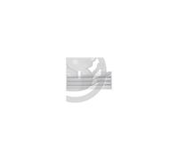 GRILLE DE MIJOTAGE ADELAIDE 4, CAMPINGAZ 75800