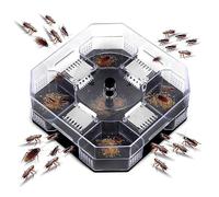 Grillons de piège à cafards, boîte de pièges à cafards utiles, cafards réutilisables ménagers, Insecte, Attrape-cafards