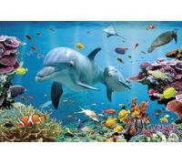 Grindstore Maxi poster plastifié avec dauphins tropicaux - Décoration murale - Décoration murale - Pour la maison, le bureau, la salle de classe - Idée cadeau - Impression décorative - 91,5 x 61 cm
