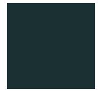 Vallejo Peinture acrylique pour modélisme 17 ml German Grey