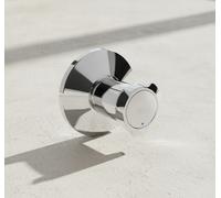 Grohe Costa L Façade pour robinet d'arrêt encastré Chrome, 19809001