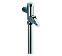 GROHE DAL-Automatic- WC - Chasse d'eau 3/4", sans robinet d'arrêt, avec capuchon d'actionnement, buse de sortie, chromé