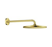 Grohe Grohe Set de douche tête Rainshower Mono 310 bras de douche 42,2 cm, cool sunrise Quantité:1