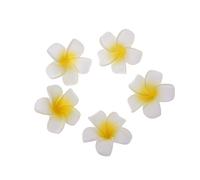 GROOMY Fleurs Séchées, 5 Pièces Frangipanier Hawaïen Frangipanier Fleurs Décoration De Fête De Mariage en Épingle à Cheveux