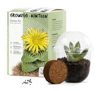 GROW2GO Kit de culture de cactus - Set de plantation de mini-serre, graines de cactus et terreau - idée cadeau durable pour les amoureux des plantes (Faucaria Tigrina)