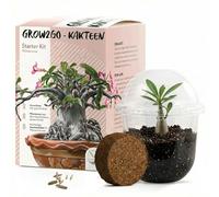 GROW2GO Kit de culture de cactus - Set de plantation de mini-serre, graines de cactus et terreau - idée cadeau durable pour les amoureux des plantes (Adenium obesum)