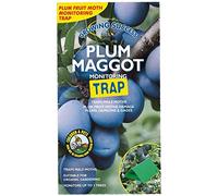 Growing Success Piège de Surveillance des asticots des Prunes