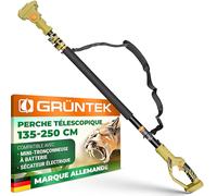 GRÜNTEK Scie Perche Télescopique - Rallonge Mini-Tronçonneuse et Rallonge Sécateur Électrique - Perche Tronçonneuse Aluminium 135-250 cm pour Élagage et Taille Branches en Hauteur