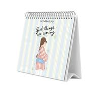 Grupo Erik Ana Marin Calendrier de Bureau 2027 - Calendrier de Table | 19,5x16,5cm, Planificateur Mensuel, 12 Illustrations, 2 Formats, Boîte de Protection, En Espagnol
