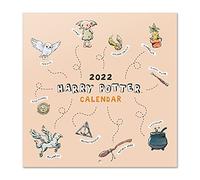 Grupo Erik - Calendrier 2021 2022 Harry Potter Magical Moments - 16 Mois | Calendrier Mural, De Septembre 2021 à Décembre 2022 | 30 x 60 cm, 6 langues, Certifié FSC
