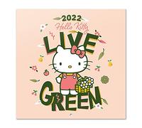 Grupo Erik - Calendrier 2022 Hello Kitty - 12 Mois | Calendrier Mural, De Janvier à Décembre 2022 | 30 x 60 cm, 6 langues, 1 Poster Inclus, Certifié FSC