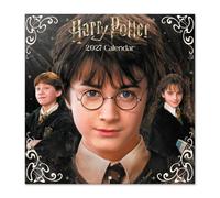 Grupo Erik | Calendrier 2027 Mural Harry Potter, Calendrier Mensuel 2027 | De Janvier à Décembre 2027 - 30 x 60 cm - Multilingue avec Français inclus - Mini Poster Inclus - Harry Potter Décoration