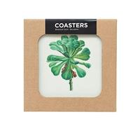 Grupo Erik - Dessous de Verre Botanical Cacti 9,7 x 9,7 cm - Lot de 4 sous Verre en Mélanimé et Liège, Résistants à la Chaleur
