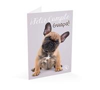 Grupo Erik editores- Carte felicitacion Studio Pets Chien heureux marque Guapa
