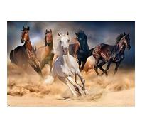 Grupo Erik - Poster Chevaux - Deco Maison, Decoration Murale, Affiche Décorative