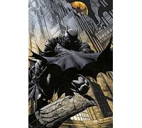Grupo Erik - Poster DC Comics Batman Gargouille - Deco Maison, Decoration Murale, Affiche Décorative