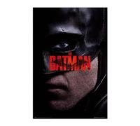 Grupo Erik - Poster DC The Batman I Am Vengeance - Deco Maison, Decoration Murale, Affiche Décorative