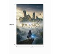 Grupo Erik - Poster Harry Potter hogwarts legacy - Deco Maison | 61x91,5 cm - Grand Format, Affiche de Film
