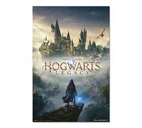 Grupo Erik - Poster Harry Potter hogwarts legacy - Deco Maison, Decoration Murale, Affiche Décorative