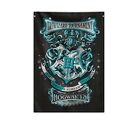 Grupo Erik - Poster Harry Potter, Toile Murale Tissu 70 x 100 cm | Décoration Murale, Kamekono