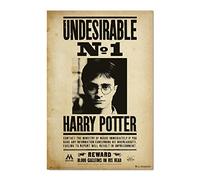 Grupo Erik - Poster Harry Potter Undesirable N1 - Deco Maison | 61x91,5 cm - Grand Format - Decoration Murale, Affiche Décorative, Affiche de Film