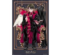 Grupo Erik - Poster Harry Potter Wizard Dynasty Harry Potter - Deco Maison, Decoration Murale, Affiche Décorative