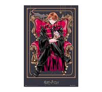 Grupo Erik - Poster Harry Potter Wizard Dynasty Ron Weasley - Deco Maison, Decoration Murale, Affiche Décorative