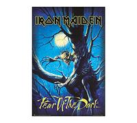Grupo Erik - Poster Iron Maiden Fear Of The Dark - Deco Maison, Decoration Murale, Affiche Décorative