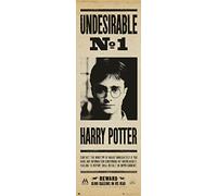 Grupo Erik - Poster Porte Harry Potter Undesirable Nº1 - Deco Maison | 53 x 158 cm - Format Vertical, Affiche de Film