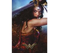 Erik Grupo Poster Wonder Woman