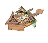 GSCLZ Horloge à Pendule en Bois Robuste Suspendre au Mur, décoration for Chambre Coucher, Bureau, Coucou rétro, l'oiseau Sort(Assorted Color22.5x1)
