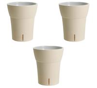 GT GARDEN - Lot de 3 pots pour orchidées avec réserve d'eau - Dali-dea ivoire 2 litres