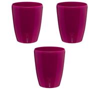 GT GARDEN - Lot de 3 pots pour orchidées avec réserve d'eau - Orchidea pourpre 2 litres