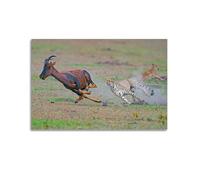 GTTHOK Poster animal guépard chassant antilope sur toile décorative 30 x 45 cm