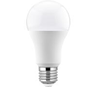 GTV Ampoule LED E27 G-tech A60, 15W (Équivalent 100W), 1500 lm, 6400K Lumière du Jour Froide, Angle 200, Éclairage Puissant et Économique, Non Dimmable