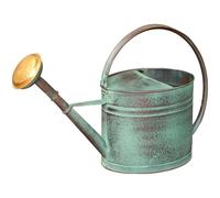 Arrosoir Vert de 4L + Pomme d'arrosage en Laiton