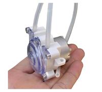 GUIPENG Micro Pompe péristaltique DC 6 V-12 V, Petite Pompe à Engrenages 500 for Dosage d'eau Liquide, Pompe d'échantillonnage d'encre de Laboratoire